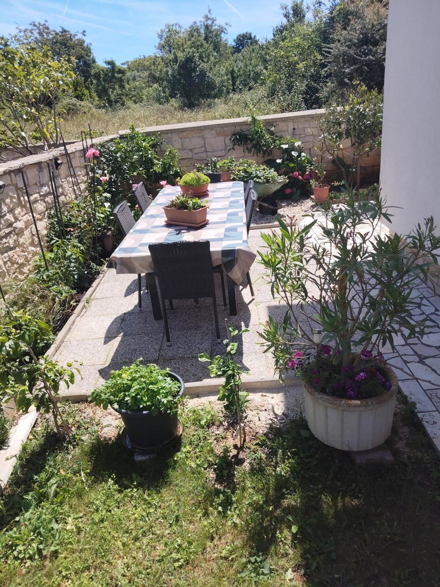 Apartmani Mila-Casa Bianca Medolino Esterno foto